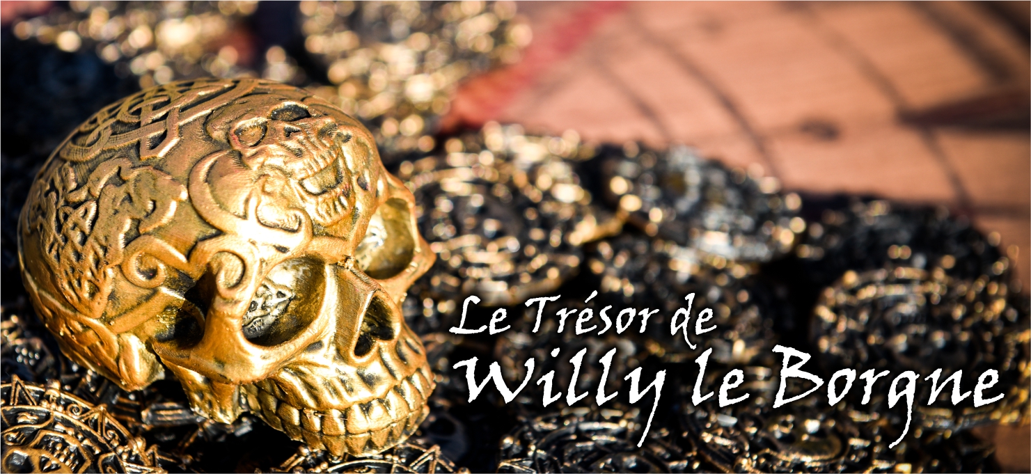 Le trésor de Willy le Borgne (1h30)